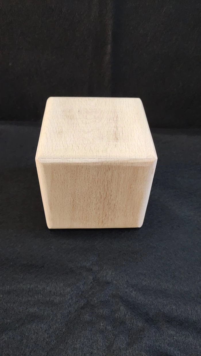 Natural Wood Money Box